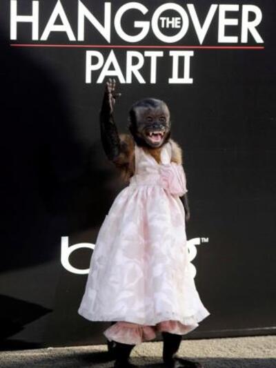 «Κρίσταλ η Μαϊμού»