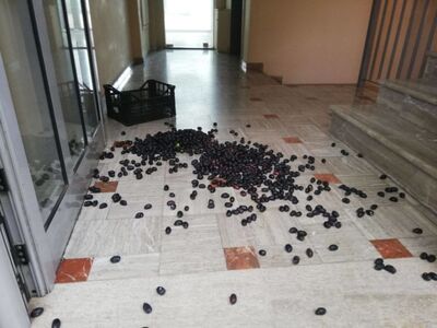 Αγρίνιo: Έριξαν ελιές στα γραφεία του ΕΛΓΑ - ΦΩΤΟ