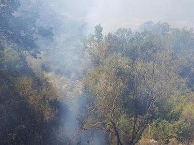 Μεσολόγγι:Φωτιά ξεκίνησε από αγρόκτημα κ...