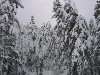 Ηλεία: Επέλαση του χιονιά σε Αρχ. Ολυμπί...