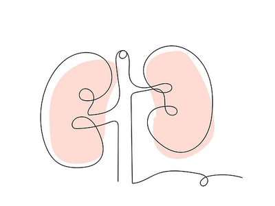 Νεφρά: Ποιες τροφές μπορούν να προκαλέσο...