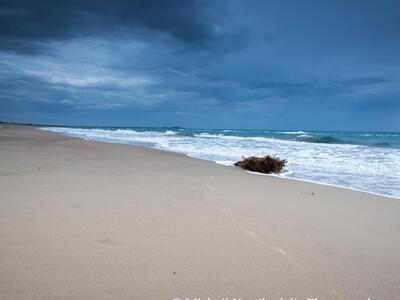 Απειλητικά σύννεφα, χειμώνας στην Καλόγρια