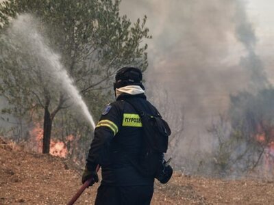 Ηλεία: Υπό μερικό έλεγχο η φωτιά που ξέσ...