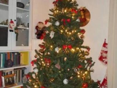 Πάτρα: Πωλούν Χριστουγεννιάτικο δέντρο γ...