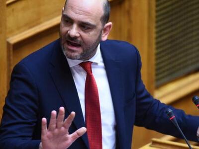 I. Φωτήλας: Το πρόβλημα των αδέσποτων στ...