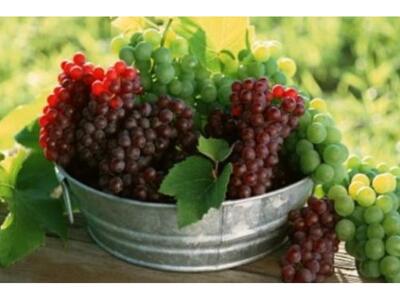 Μαζί με το αντίδωρο μοιράστηκαν στους πι...