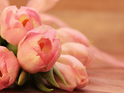 Εορτολόγιο: Ποιοι γιορτάζουν σήμερα 24 Ιανουαρίου