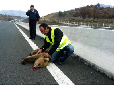 Τραγικό! Το 12ο τροχαίο ατύχημα με θύμα ...