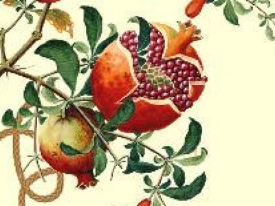 Πάτρα: Το ΚΔΑΠ ΜΕΑ ΚΟΜΑΙΘΩ θα κόψει την ...