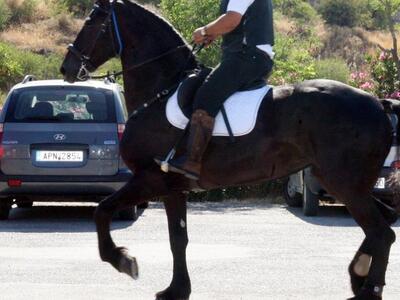 Πάτρα:Το άλογο βγήκε στο δρόμο και κλήθη...