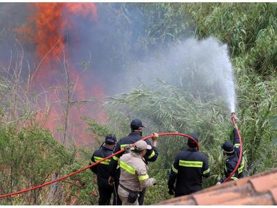 Κάηκαν 35 στρέμματα στην Κνωσσό – ΔΕΙΤΕ ...