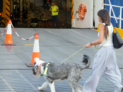 Φεύγουν και οι τελευταίοι εκδρομείς του ...