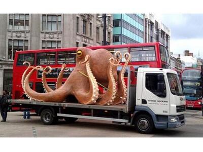 Τεράστιο χταπόδι, προκαλεί κυκλοφοριακό ...