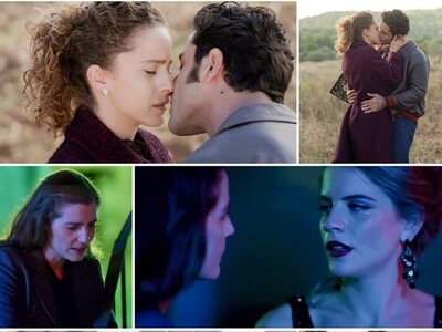 Άγριες μέλισσες: Έρχονται τα πάνω- κάτω ...