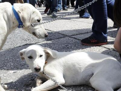 Εβδομήντα χιλιάδες ευρώ δίνει ο Δήμος τη...