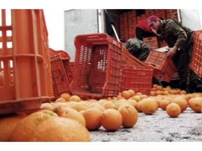 Ηγουμενίτσα: 400 κιλά κάνναβης σε φορτίο...