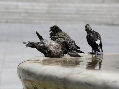 Ιούλιος και Αύγουστος οι θερμότεροι μήνε...
