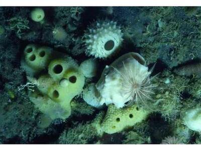 Μετά τους πάγους που λιώνουν, τί έρχεται...