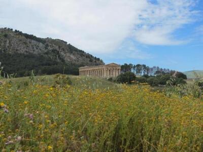 Δωρικός ναός στην Εγεστα (Καρώνης)