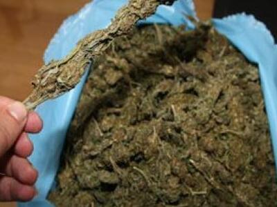 Πύργος: Σύλληψη 33χρονου για καλλιέργεια...