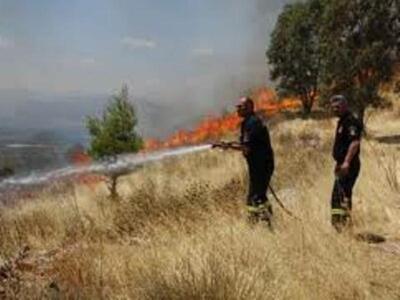Αχαΐα: Πυρκαγιά κατέκαψε 15 στρέμματα 