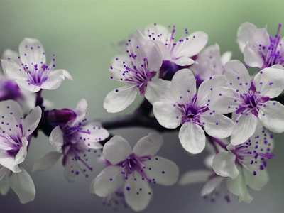 Εορτολόγιο: Ποιοι γιορτάζουν σήμερα, 2 Ιουνίου