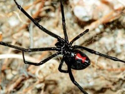 Αιτωλοακαρνανία: Η περιπέτεια αγρότη που...