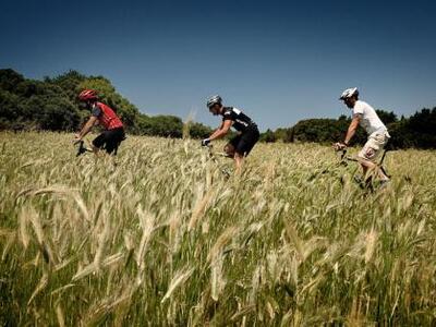 Navarino Bike Festival: Στην τελική ευθεία!
