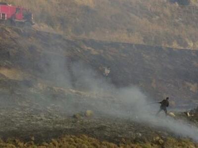 Κεφαλονιά: Επ αυτοφώρω σύλληψη εμπρηστή ...