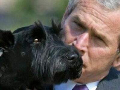 Ζωγραφιές από τις...καλλιτεχνικές ανησυχ...