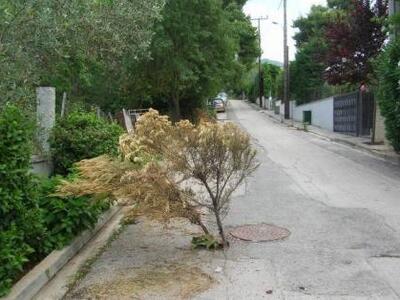 Δείτε πως το σκουπόξυλο βρήκε τη θέση του!