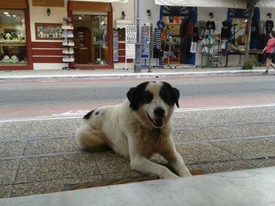 Ηλεία: Ένταση στο Κατάκολο για άτομο που...