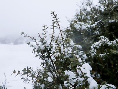 Διακοπή κυκλοφορίας και απαραίτητες αλυσ...