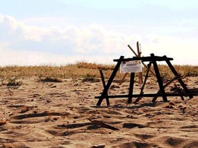 Στη Ζάκυνθο η πρώτη φωλιά της καρέτα καρ...