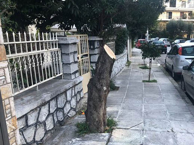 Πάτρα: Μηνύσεις σε βάρος ιδιωτών για παρ...