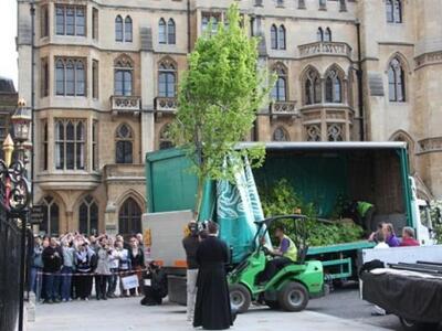 (ΦΩΤΟ reuters) Tα φυτά μεταφέρονται στο ...