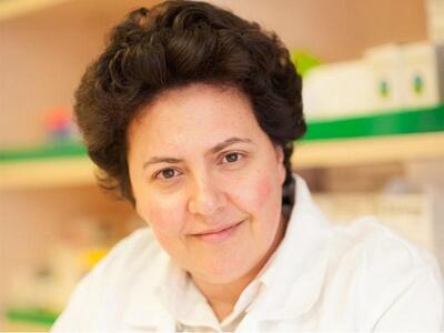 Αθηνά Τραχήλη: Πρώτο κόμμα και στην Αχαϊ...