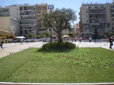 Πάτρα: Απομακρύνουν την ελιά από την πλα...