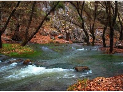 Καλάβρυτα: Παραδοσιακό καφενείο το ισόγε...