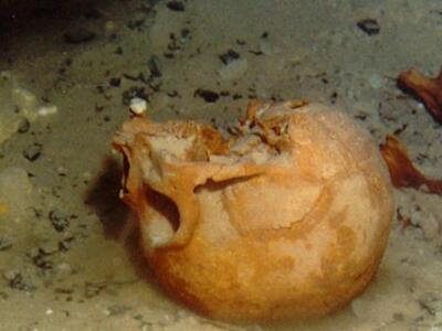 Ένα ανθρώπινο κρανίο 10.000 ετών 