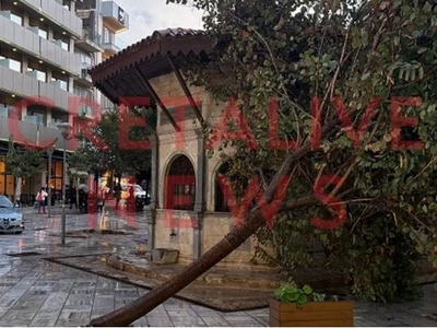 Ηράκλειο: Πτώσεις δέντρων από ολιγόλεπτη καταιγίδα