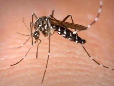 Κομοτηνή: Νεκρή ηλικιωμένη από τον ιό το...