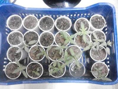 Νεοχώρι Αιτωλοακαρνανίας: Ο 49χρονος έφτ...