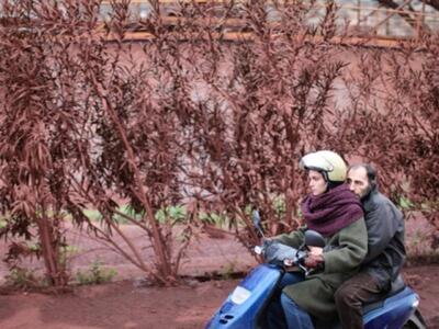 Το ελληνικό «Attenberg» στο δρόμο για τα Όσκαρ