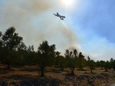 Σε ύφεση η πυρκαγιά στην Χρυσοκελαριά Μεσσηνίας
