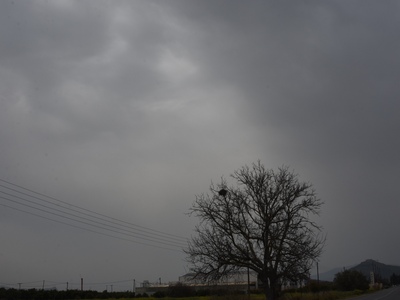 Μαρουσάκης, Καλλιάνος και Αρναούτογλου: ...