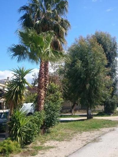 Κάτω μέρος του γηπέδου του ΣΕΓΑΣ.