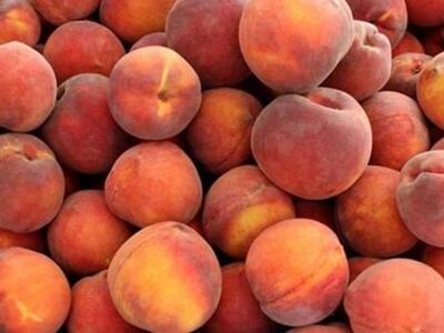 Η Ελλάδα ζητεί αλλαγή των μέτρων στήριξη...