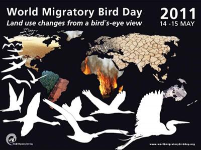 Ο μαγικός κόσμος των πουλιών στην Βιβλιοπολιτεία 