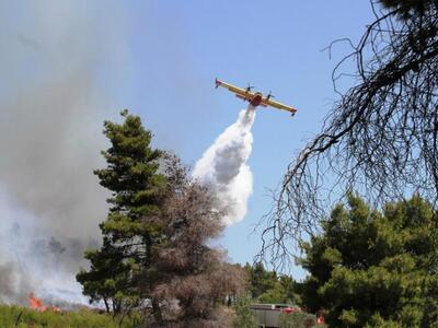 ΤΩΡΑ! Μεγάλη πυρκαγιά μαίνεται στην Κέρκυρα